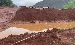 Bình Phước: Điều tra, làm rõ nguyên nhân khiến 2 người tử vong