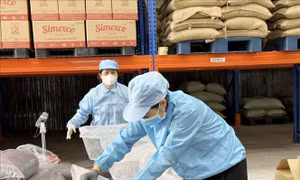 Xuất khẩu lô hàng vỏ cà phê Cascara đặc sản sang Hàn Quốc