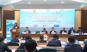 Tỉnh Đồng Nai thúc đẩy kết nối giao thương với các doanh nghiệp Ấn Độ