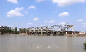 Xâm nhập mặn tiếp tục giảm dần