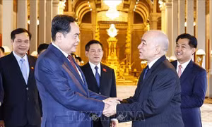 Chủ tịch Quốc hội Trần Thanh Mẫn yết kiến Quốc vương Campuchia Norodom Sihamoni