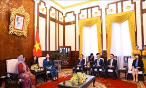 Việt Nam và Bangladesh còn nhiều dư địa hợp tác thương mại, đầu tư