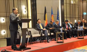 EVFTA tạo ra cơ hội và sức cạnh tranh mới từ châu Âu