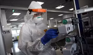 WTO công bố báo cáo mới về thương mại toàn cầu đối với các sản phẩm y tế