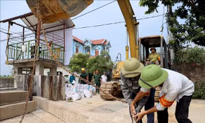 Hà Nội: Chủ động bảo vệ đê Đô Tân trước những tình huống lũ lớn