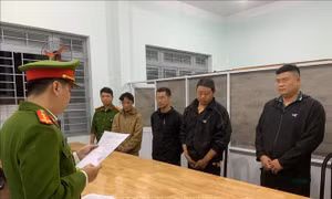Khởi tố, bắt tạm giam 4 bị can sản xuất giá đỗ bằng hóa chất độc hại