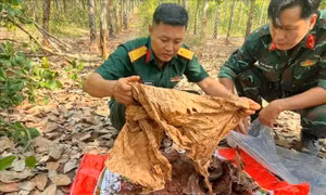 Phát hiện, cất bốc 13 hài cốt liệt sỹ tại thị xã Bình Long