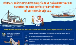 Kế hoạch khắc phục khuyến nghị của EC về chống khai thác IUU 