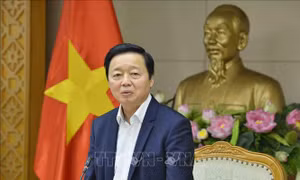 Nghiên cứu chính sách học phí toàn diện, đảm bảo mục tiêu phổ cập giáo dục