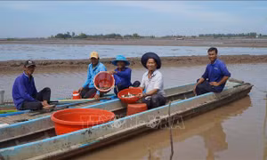 Thêm sinh kế cho người dân vùng biên