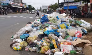 Nhà máy xử lý rác gặp sự cố, rác sinh hoạt 'bủa vây' TP Bảo Lộc, Lâm Đồng