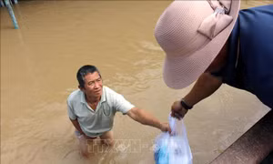 Tiếp tế nhu yếu phẩm cho người dân vùng lũ Lâm Đồng