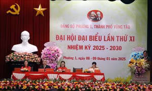 Đại hội điểm Đảng bộ cấp cơ sở và thí điểm bầu Bí thư cấp ủy trực tiếp tại Đại hội