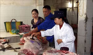 Thanh Hóa: 9 xã, phường công bố hết dịch tả lợn châu Phi