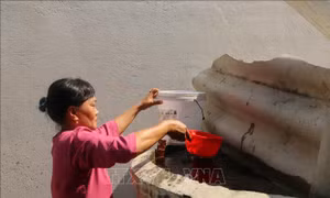 Long An công bố tình huống khẩn cấp do xâm nhập mặn