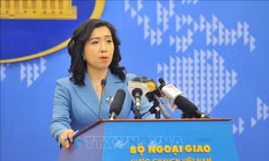 Hỗ trợ tìm kiếm các khả năng, biện pháp để đưa cổ vật về nước