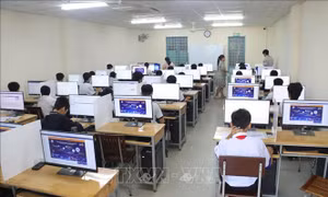 Gần 900 thí sinh tranh tài Vòng Khu vực miền Nam Hội thi Tin học trẻ toàn quốc