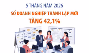 5 tháng đầu năm 2026: Số doanh nghiệp thành lập mới tăng 42,1%