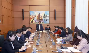 Quốc hội thảo luận tổ về việc thực hiện Nghị quyết số 30/2021/QH15
