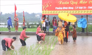 Độc đáo Lễ hội Vua Hùng dạy dân cấy lúa ở Phú Thọ