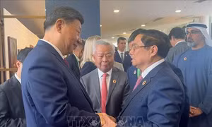 Thủ tướng Phạm Minh Chính gặp lãnh đạo các nước, tổ chức quốc tế