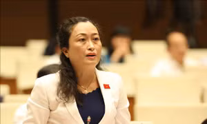 Đảm bảo nguồn lực, các chính sách đặc thù cho đồng bào dân tộc thiểu số