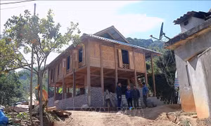 Hòa Bình dốc sức hoàn thành xóa nhà tạm đúng thời hạn