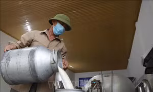 Dự báo thị trường để mở rộng đầu ra cho sản phẩm của hợp tác xã 