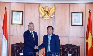 Tổng Bí thư Tô Lâm gặp Chủ tịch Thượng viện Indonesia