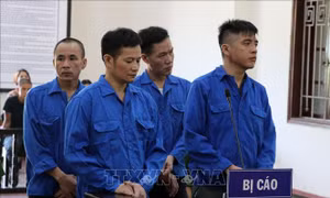 Hơn 25 năm tù giam dành cho các đối tượng tàng trữ ma túy và không tố giác tội phạm