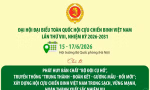 Đại hội đại biểu toàn quốc Hội Cựu chiến binh Việt Nam lần thứ VIII, nhiệm kỳ 2026-2031