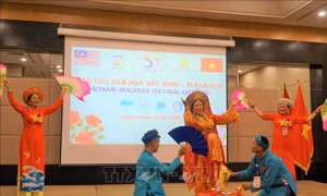 Giao lưu văn hóa nghệ thuật truyền thống Việt Nam - Malaysia