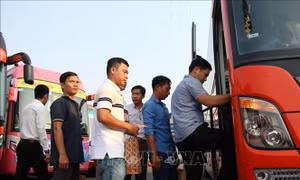 TP Hồ Chí Minh còn nhiều vé xe Tết