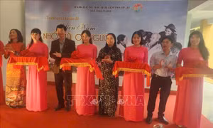 Khai mạc triển lãm chuyên đề 'Miền Nam nhớ mãi ơn Người'