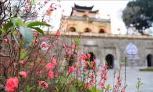 Hội thảo khoa học cấp quốc gia về Đề cương về văn hóa Việt Nam sẽ diễn ra ngày 27/2