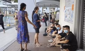 60% người dân Singapore có thể đã mắc COVID-19
