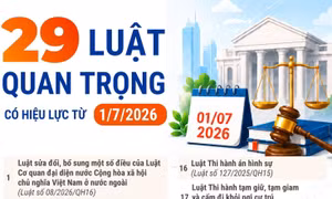 29 luật quan trọng có hiệu lực từ ngày 1/7/2026