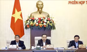 Làm rõ điều kiện, khả năng đáp ứng của cơ quan, tổ chức được phân cấp, ủy quyền