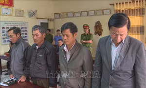 Khởi tố, bắt tạm giam 4 lãnh đạo, cán bộ liên quan đến vụ phá rừng tại Đắk Lắk