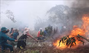 Phòng chống cháy rừng mùa khô hanh