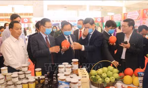 Khai mạc trực tuyến hội chợ kinh tế thương mại biên giới Trung - Việt (Hà Khẩu)