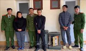 Bắt đối tượng cuối cùng trong nhóm gây nhiều vụ trộm cắp tài sản