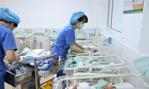 Duy trì mức sinh thay thế để đảm bảo chất lượng nguồn nhân lực