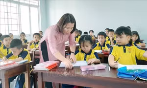 Năm đầu tiên chương trình giáo dục phổ thông mới: Đương đầu cùng thách thức
