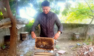 Đưa OCOP trở thành đòn bẩy phát triển kinh tế nông thôn