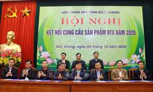 Liên kết tiêu thụ sản phẩm của hợp tác xã 7 tỉnh Đông Bắc
