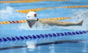SEA Games 32: Việt Nam giành HCV và HCB nội dung bơi 400m hỗn hợp