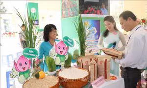 Giải pháp nâng cao giá trị ngành hàng lúa gạo