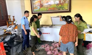 Thanh Hóa: Phát hiện, thu giữ 290 cá thể Cò hương cấp đông chờ tiêu thụ