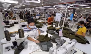 Một số mặt hàng Việt Nam xuất sang EAEU có thể bị tăng thuế